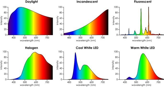 Daylight, Incandescent, Fluorescent, Halogen, Cool White LED, Warm White LED
